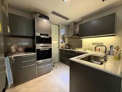 St. Regis Residences (D10), Apartment #585290721